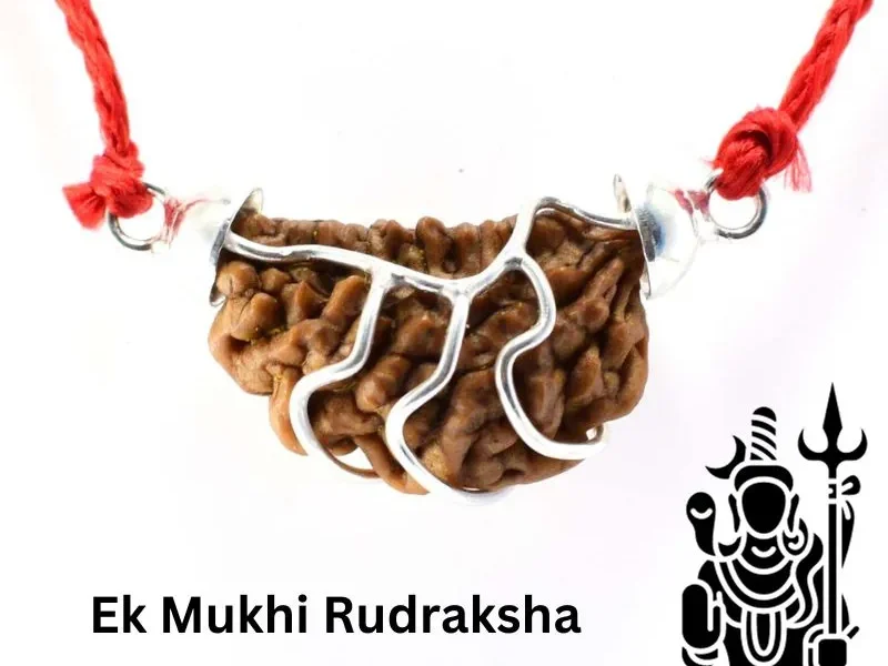 Ek Mukhi Rudraksha: जिसमें स्‍वयं शिव समाए हैं 